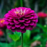 Midjourney 写实人像提示词：5 条直接出图