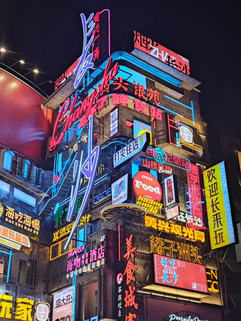 霓虹灯下的赛博朋克城市夜景，用于赛博朋克提示词