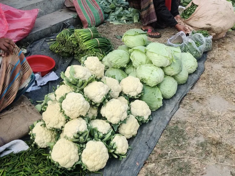 冰箱里的新鲜蔬菜与食材场景，用于家常菜单提示词