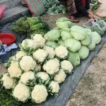 冰箱剩菜别硬塞，让 AI 帮你清库存
